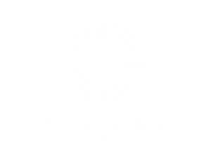 Elequra